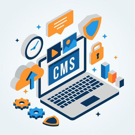 Picture for category Custom CMS Development