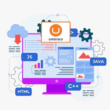 Picture for category Umbraco Development